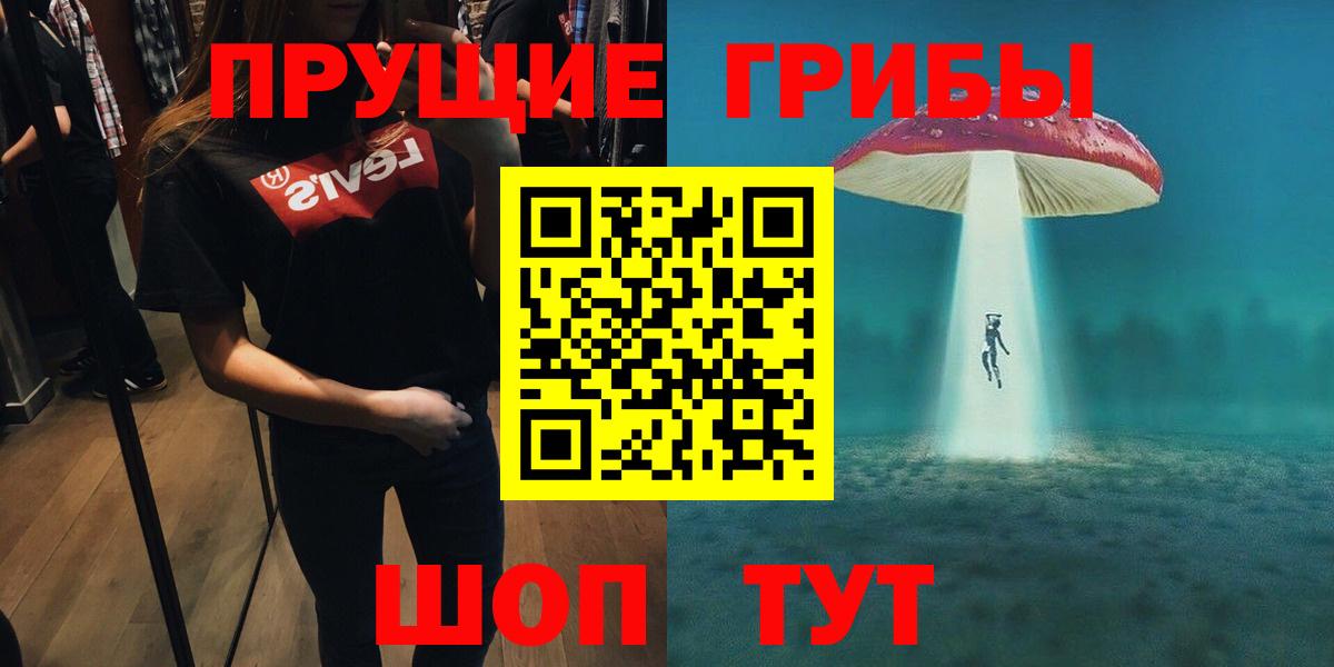 Владивосток  Галлюциногенные грибы Psilocybe  Вход с VPN 
