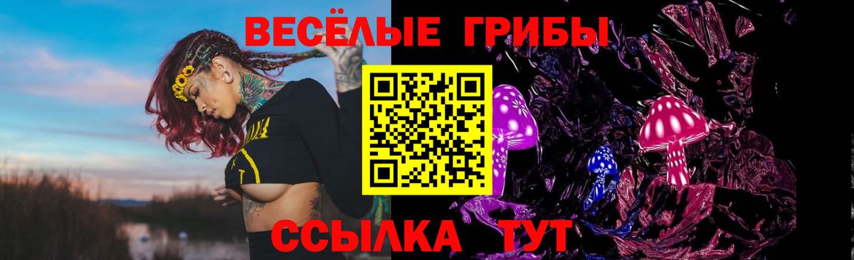 Галлюциногенные грибы мицелий Владивосток