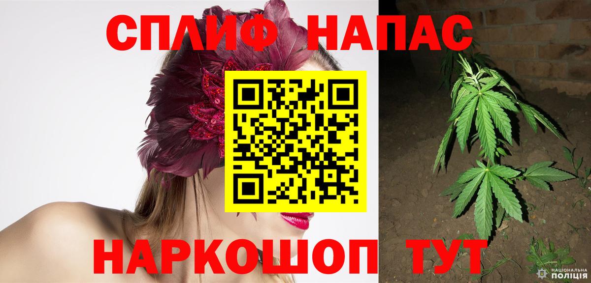 Конопля Bruce Banner  Шишки марихуана ГИДРОПОН  Вход с VPN  Владивосток  Конопля ГИДРОПОН  МАРИХУАНА Ganja 